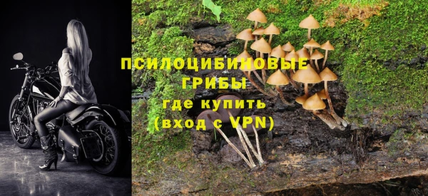 PSILOCYBIN Балахна